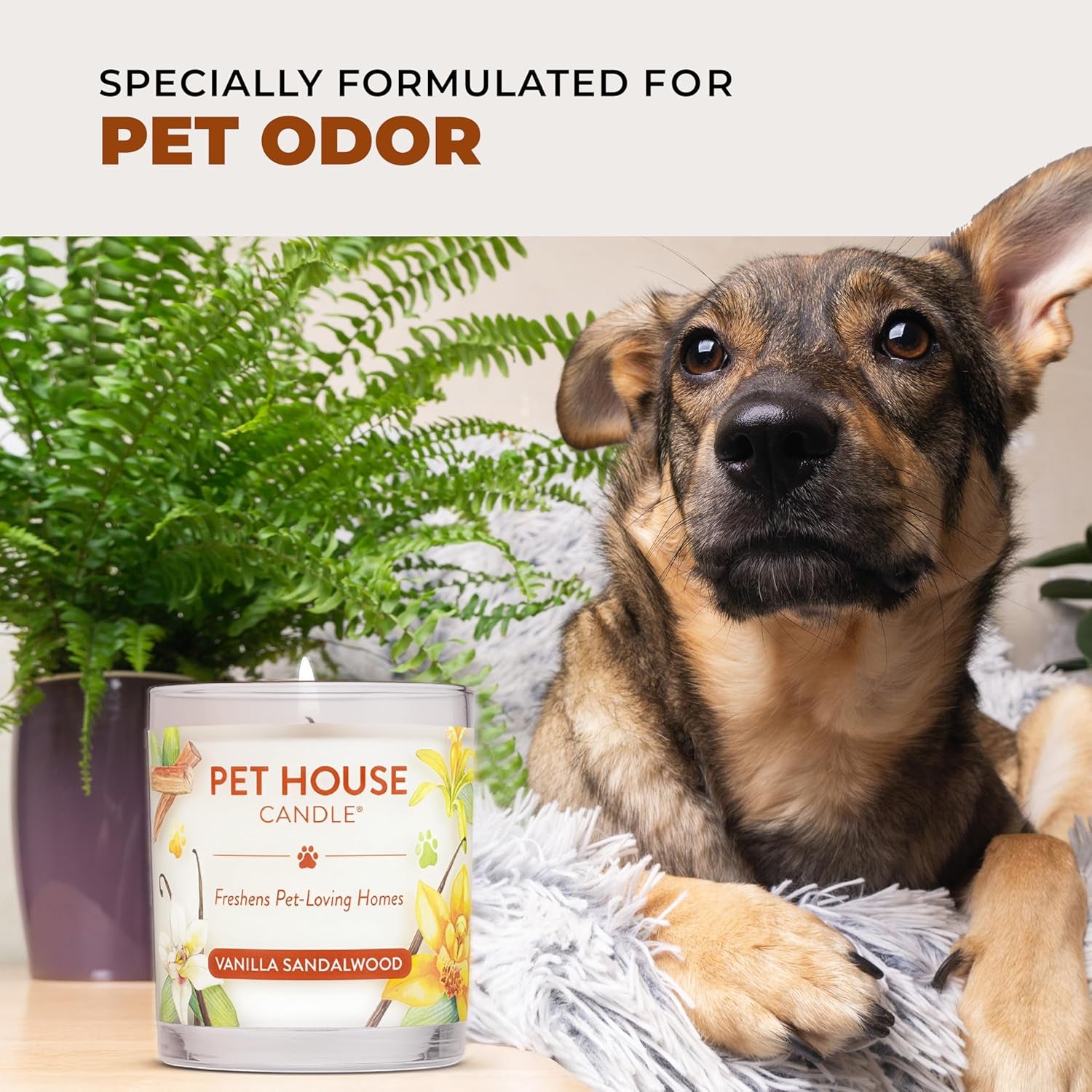 Pet House Fall Candles, Long Lasting, Clean Burning, Soy Wax Scented Candles for Pet Odor, Pumpkin Spice, 2 Pack