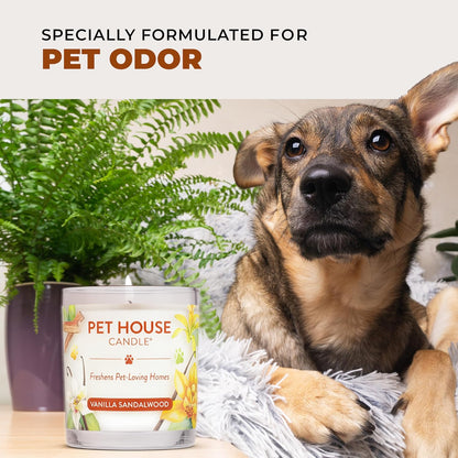 Pet House Fall Candles, Long Lasting, Clean Burning, Soy Wax Scented Candles for Pet Odor, Pumpkin Spice, 2 Pack