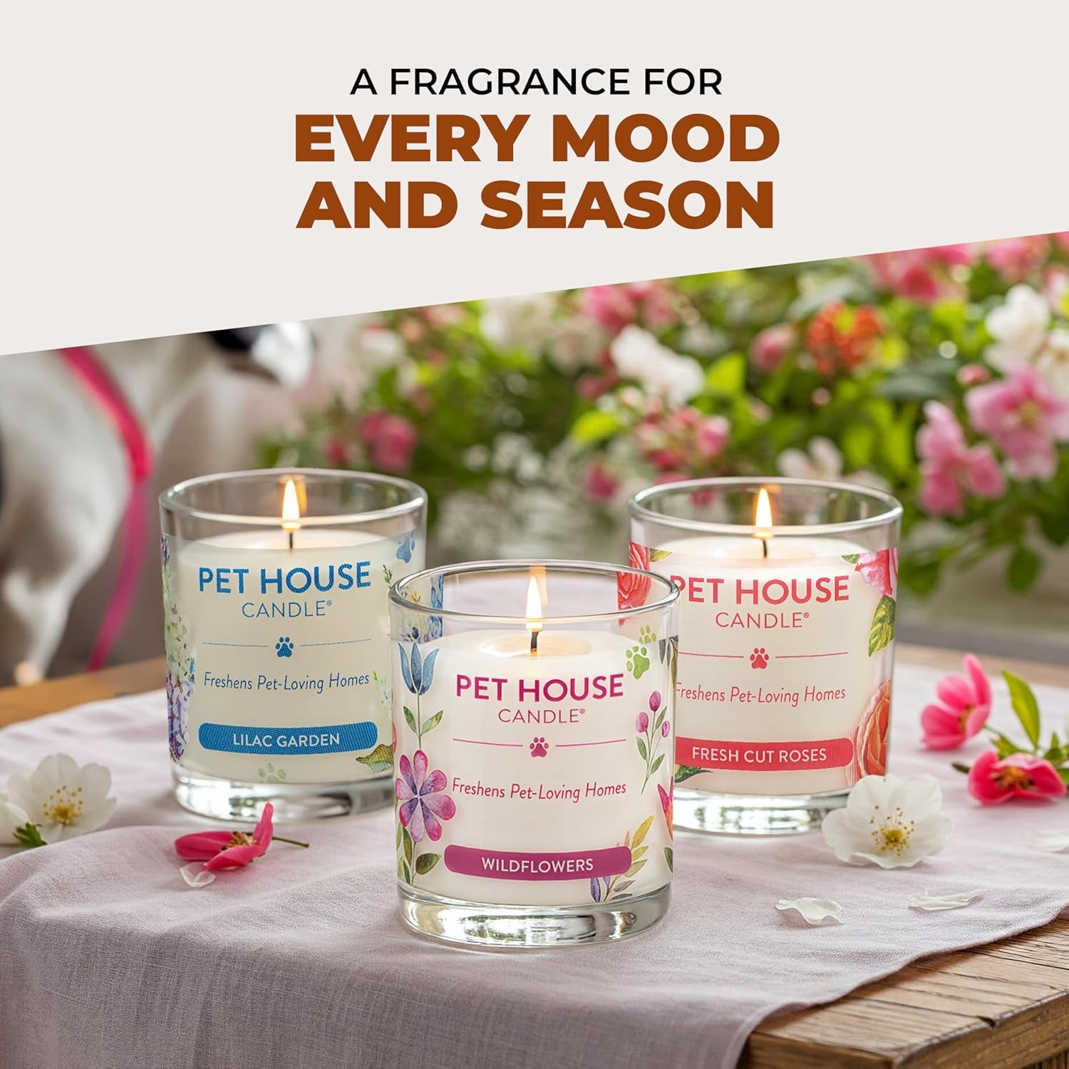 Pet House Fall Candles, Long Lasting, Clean Burning, Soy Wax Scented Candles for Pet Odor, Pumpkin Spice, 2 Pack