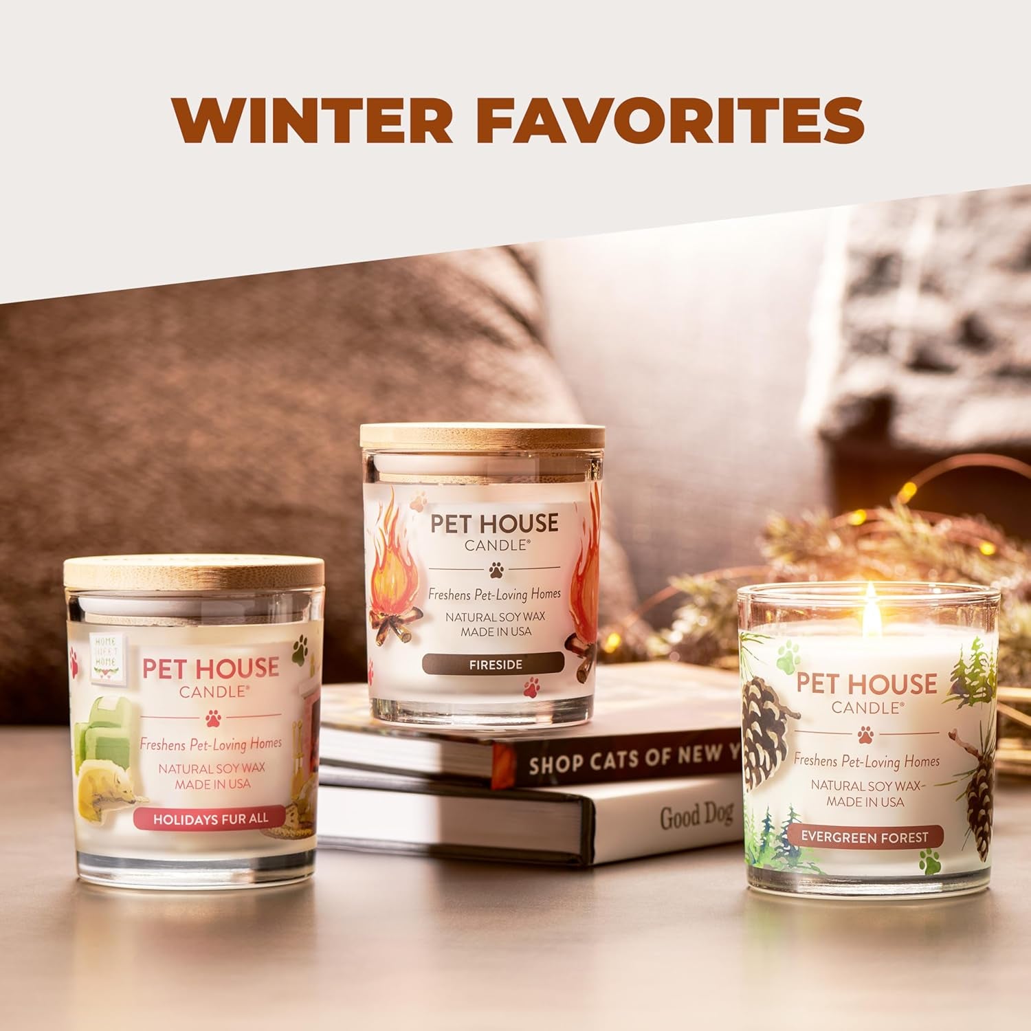 Pet House Fall Candles, Long Lasting, Clean Burning, Soy Wax Scented Candles for Pet Odor, Pumpkin Spice, 2 Pack